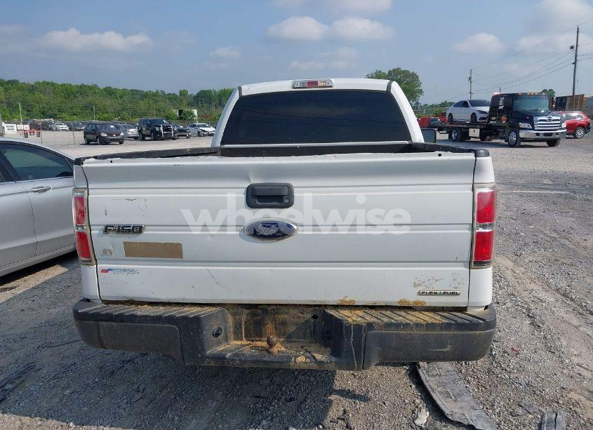 Photo 16 of 2013 Ford F-150 XL (VIN 1FTMF1CM6DFC50916)