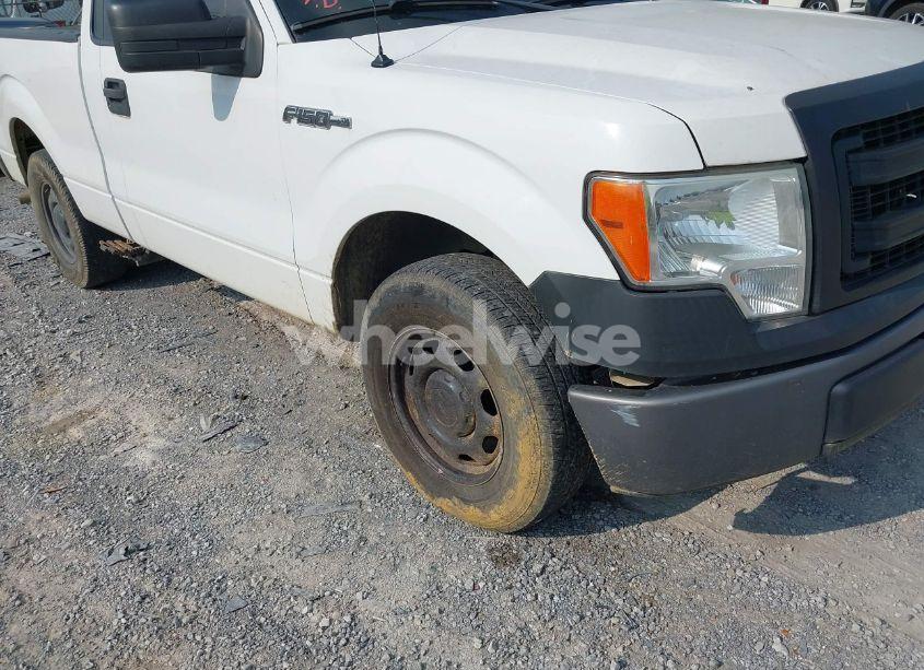 Photo 18 of 2013 Ford F-150 XL (VIN 1FTMF1CM6DFC50916)