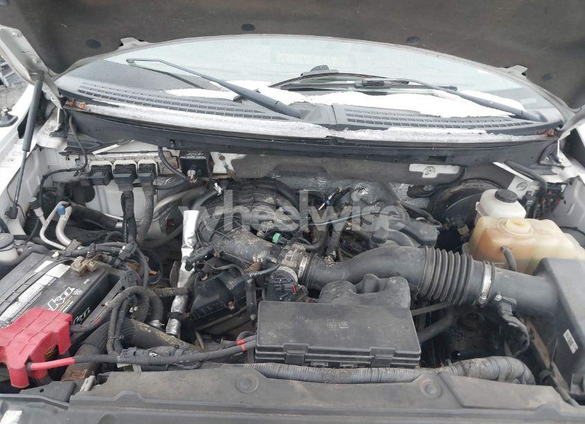 Photo 10 of 2013 Ford F-150 XL (VIN 1FTMF1CM6DKD84977)