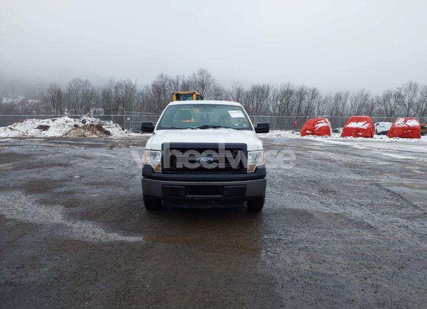 Photo 12 of 2013 Ford F-150 XL (VIN 1FTMF1CM6DKD84977)