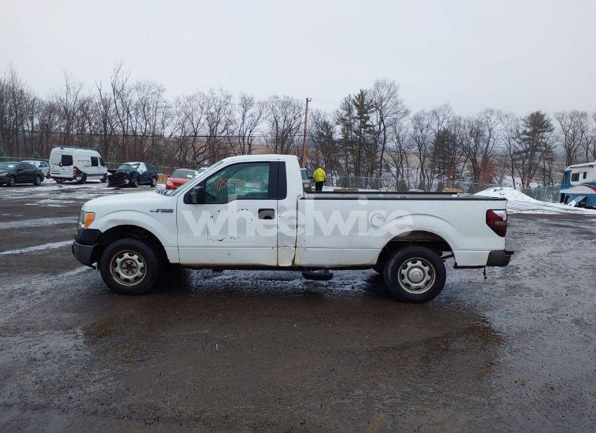 Photo 14 of 2013 Ford F-150 XL (VIN 1FTMF1CM6DKD84977)