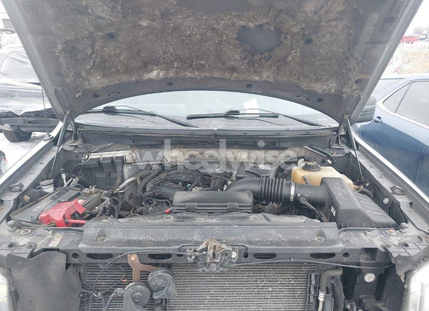 Photo 10 of 2013 Ford F-150 XL (VIN 1FTMF1CM6DKE13524)