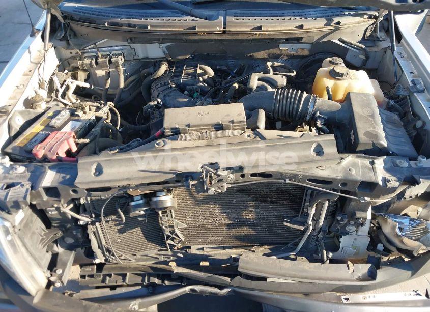 Photo 10 of 2013 Ford F-150 XL (VIN 1FTMF1CM6DKF41908)