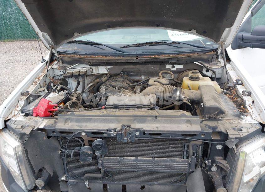 Photo 10 of 2013 Ford F-150 XL (VIN 1FTMF1CM6DKG27560)