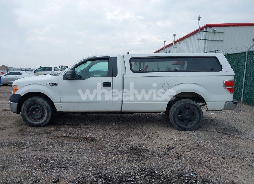 Photo 14 of 2013 Ford F-150 XL (VIN 1FTMF1CM6DKG27560)