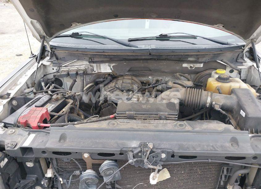 Photo 10 of 2014 Ford F-150 XL (VIN 1FTMF1CM6EKE77659)