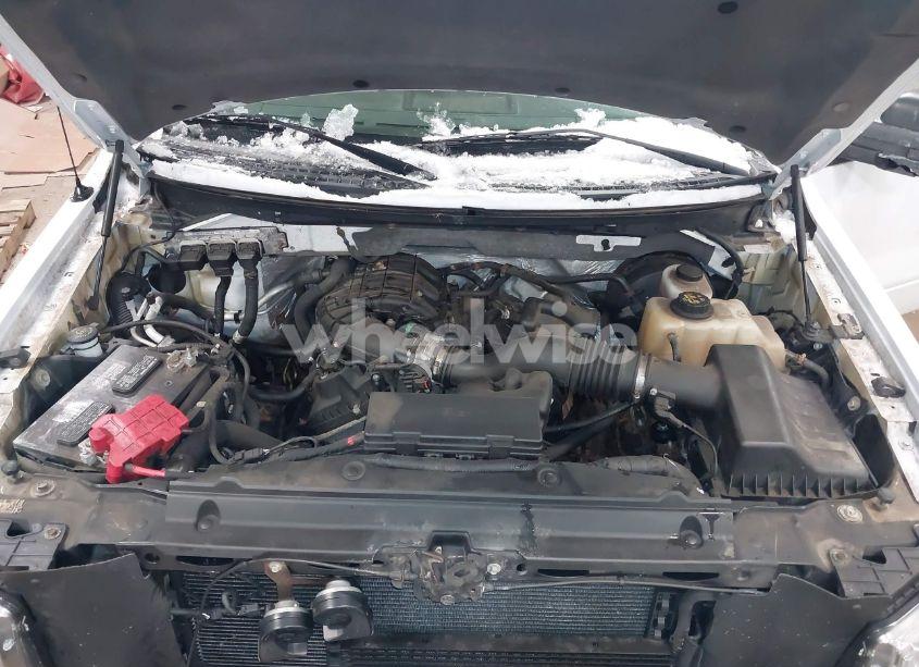 Photo 10 of 2011 Ford F-150 STX (VIN 1FTMF1CM7BFD05791)