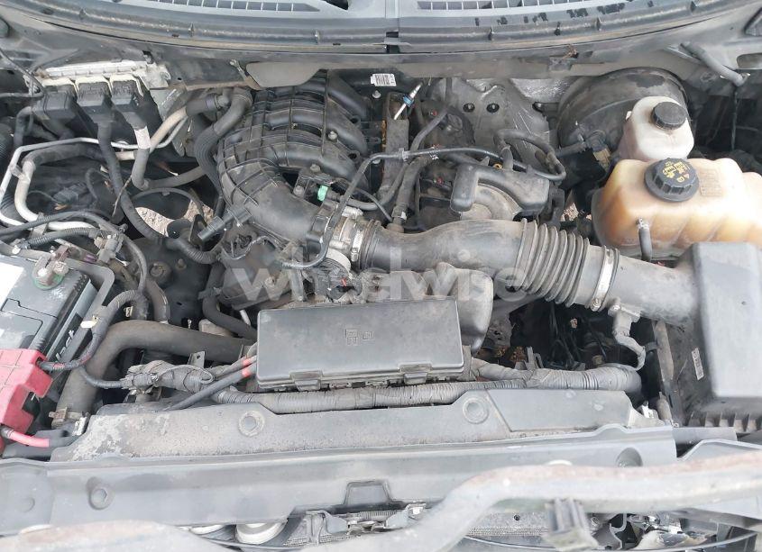 Photo 10 of 2013 Ford F-150 XL (VIN 1FTMF1CM8DFB16540)