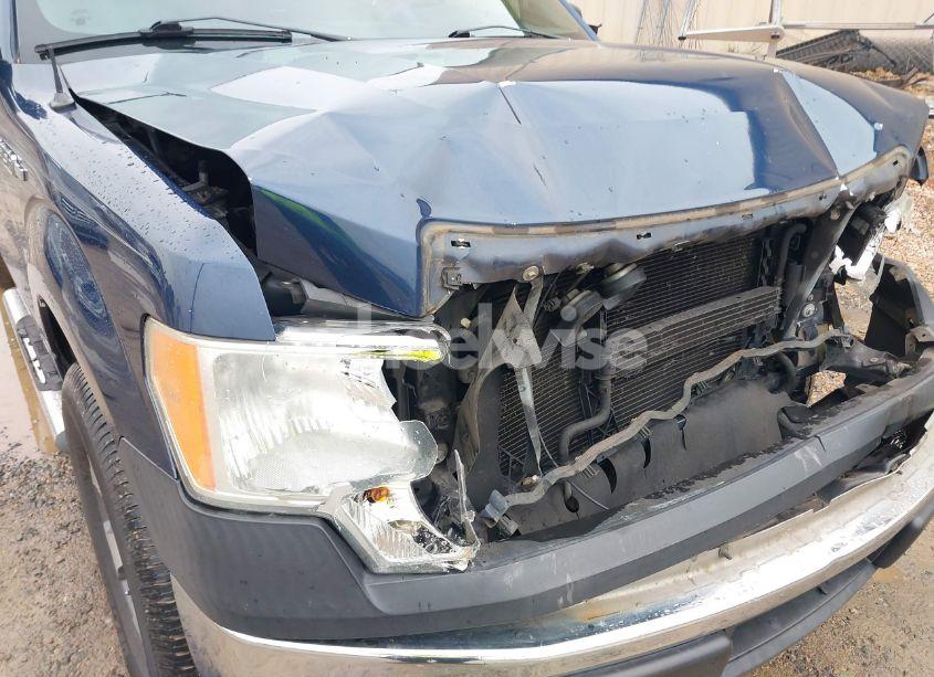 Photo 6 of 2013 Ford F-150 XL (VIN 1FTMF1CM8DFB16540)