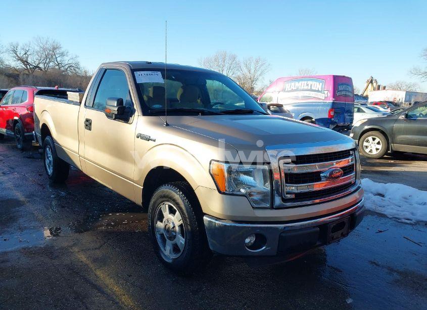 2013 Ford F-150 XLT (VIN 1FTMF1CM8DKF79009) main photo