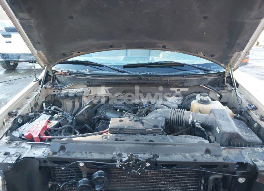 Photo 10 of 2013 Ford F-150 XLT (VIN 1FTMF1CM8DKF79009)