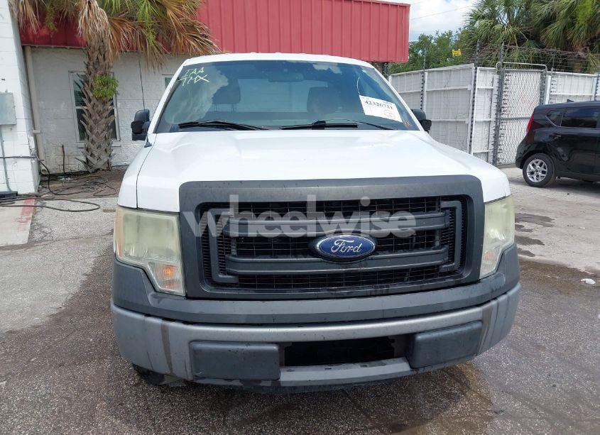Photo 6 of 2013 Ford F-150 XL (VIN 1FTMF1CM9DFC13973)