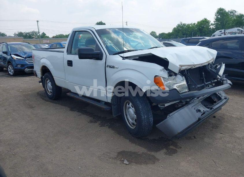 2013 Ford F-150 XL (VIN 1FTMF1CM9DKD55134) main photo