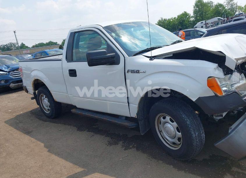 Photo 14 of 2013 Ford F-150 XL (VIN 1FTMF1CM9DKD55134)