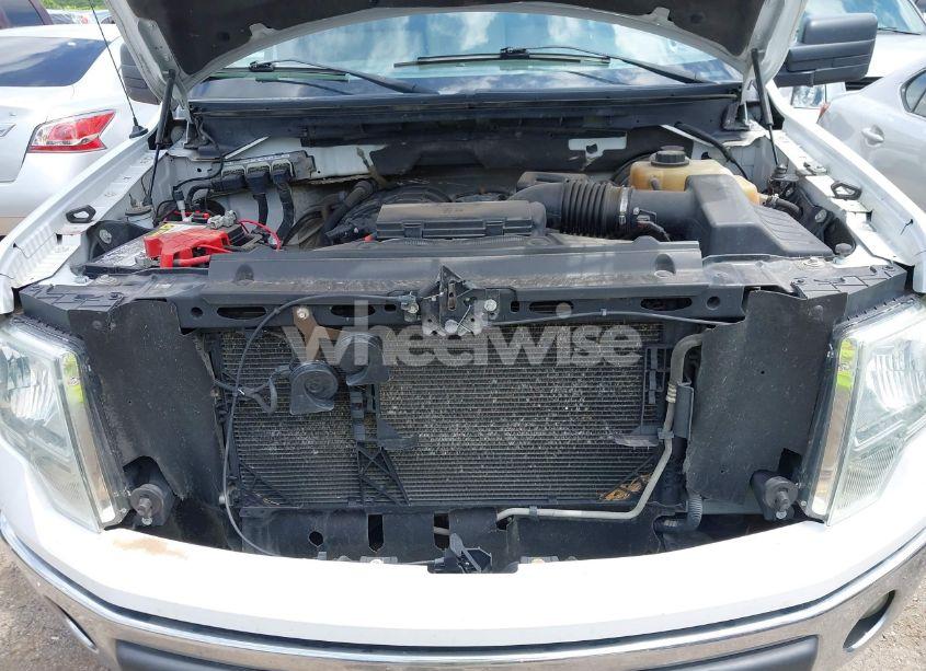 Photo 10 of 2011 Ford F-150 XLT (VIN 1FTMF1CMXBKD65619)