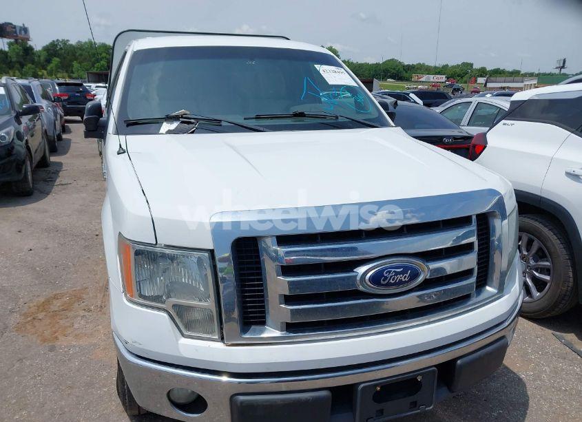Photo 12 of 2011 Ford F-150 XLT (VIN 1FTMF1CMXBKD65619)