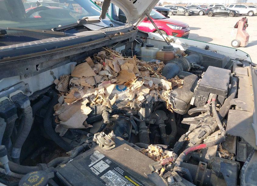 Photo 12 of 2011 Ford F-150 XL (VIN 1FTMF1CMXBKE15581)