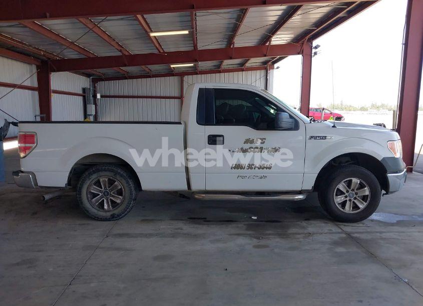 Photo 13 of 2013 Ford F-150 XL (VIN 1FTMF1CMXDKD38391)