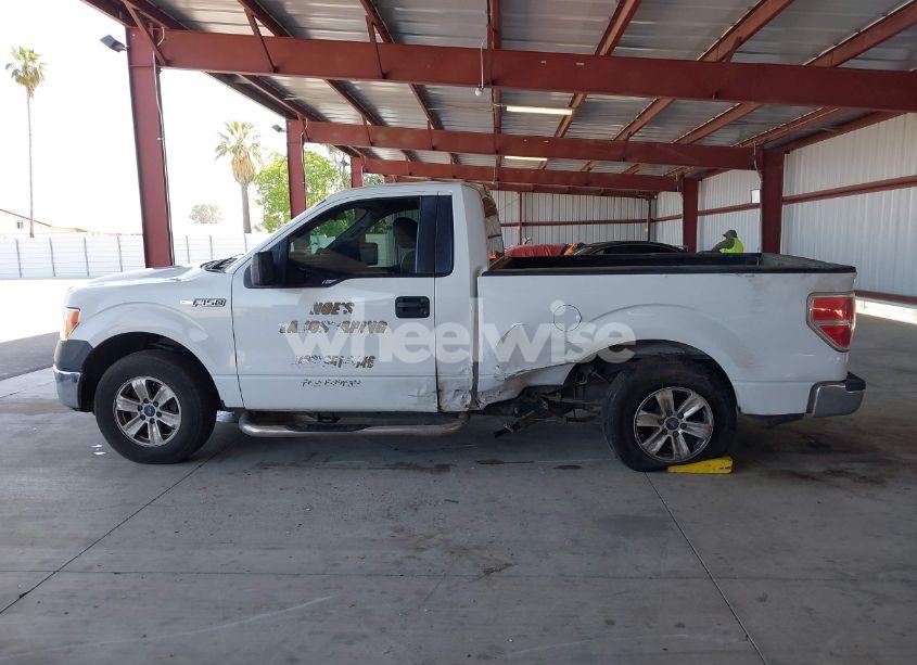 Photo 14 of 2013 Ford F-150 XL (VIN 1FTMF1CMXDKD38391)