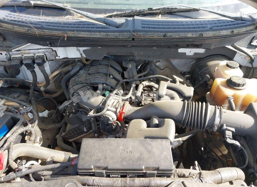 Photo 10 of 2013 Ford F-150 XL (VIN 1FTMF1CMXDKE37423)