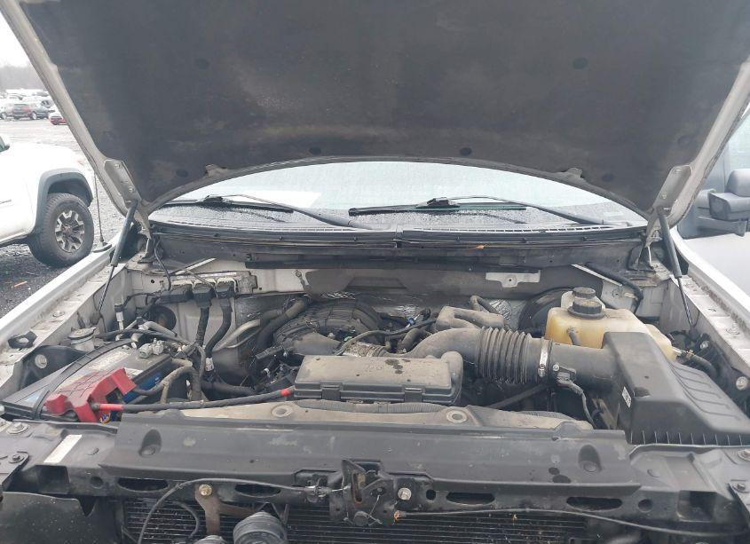 Photo 10 of 2013 Ford F-150 XL (VIN 1FTMF1CMXDKF51454)