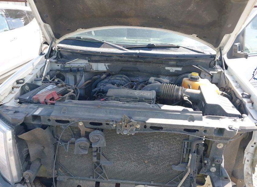 Photo 10 of 2014 Ford F-150 XL (VIN 1FTMF1CMXEKD72302)