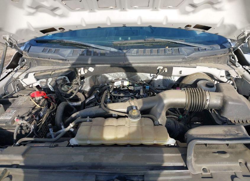 Photo 10 of 2019 Ford F-150 XL (VIN 1FTMF1CP9KKE22807)