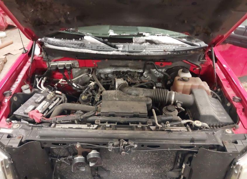 Photo 10 of 2010 Ford F-150 STX/XL/XLT (VIN 1FTMF1CW0AFC83312)