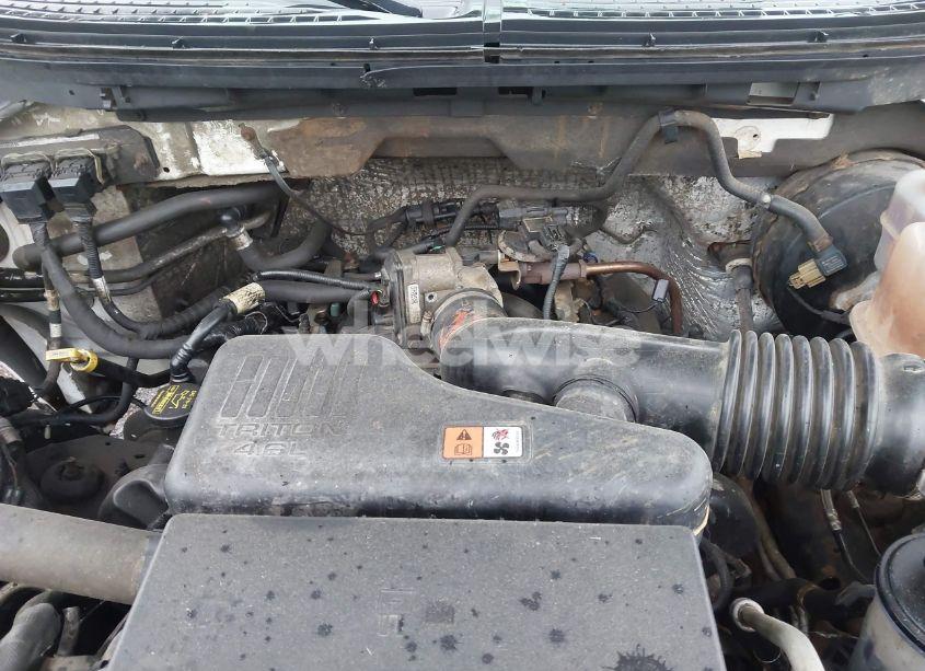 Photo 10 of 2010 Ford F-150 STX/XL/XLT (VIN 1FTMF1CW1AKE05912)