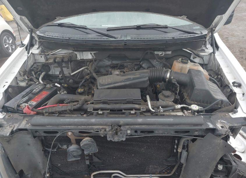 Photo 10 of 2010 Ford F-150 STX/XL/XLT (VIN 1FTMF1CW2AKB69593)