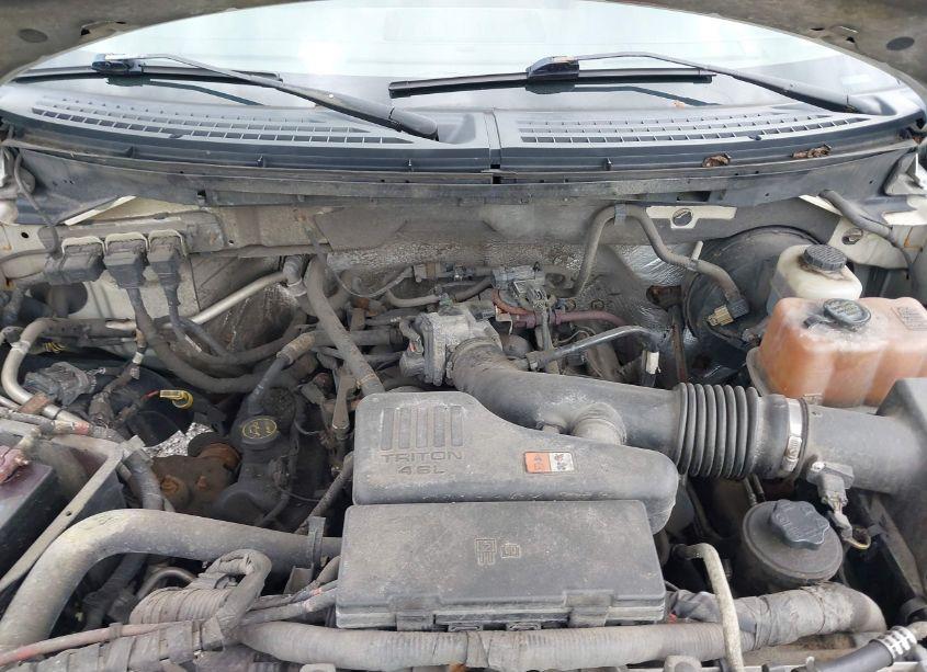 Photo 10 of 2010 Ford F-150 STX/XL/XLT (VIN 1FTMF1CW3AKC26321)