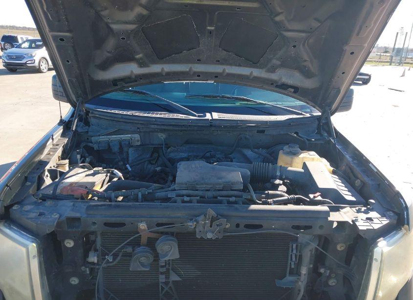 Photo 10 of 2010 Ford F-150 STX/XL/XLT (VIN 1FTMF1CW3AKE63908)