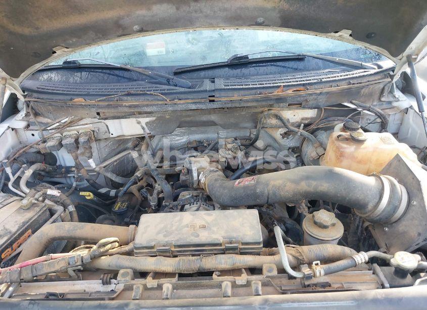 Photo 10 of 2010 Ford F-150 XL (VIN 1FTMF1CW4AFB98778)