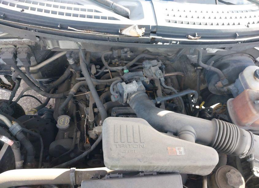 Photo 10 of 2010 Ford F-150 STX/XL/XLT (VIN 1FTMF1CW5AKE80175)