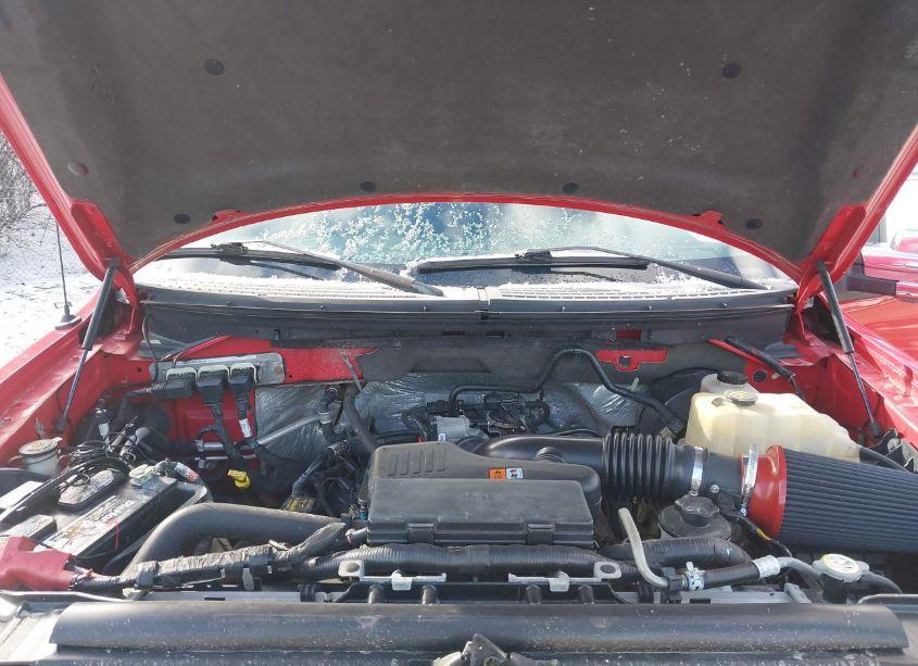 Photo 10 of 2010 Ford F-150 STX/XL/XLT (VIN 1FTMF1CW7AKB84543)