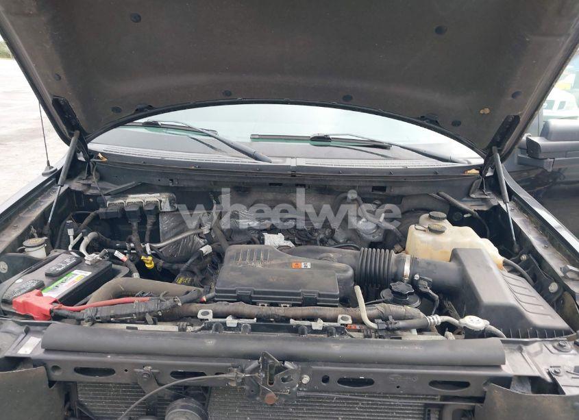 Photo 10 of 2010 Ford F-150 STX/XL/XLT (VIN 1FTMF1CW7AKE02500)