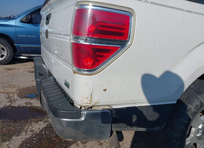 Photo 13 of 2010 Ford F-150 STX/XL/XLT (VIN 1FTMF1CW9AKA82869)