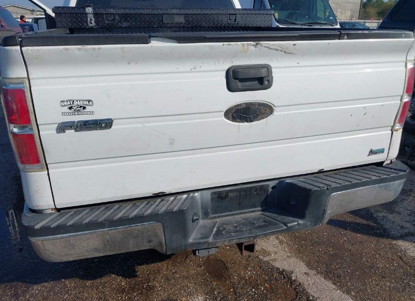 Photo 14 of 2010 Ford F-150 STX/XL/XLT (VIN 1FTMF1CW9AKA82869)