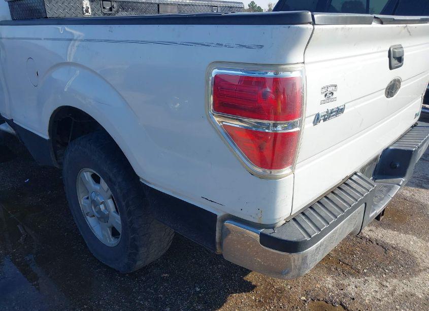 Photo 15 of 2010 Ford F-150 STX/XL/XLT (VIN 1FTMF1CW9AKA82869)