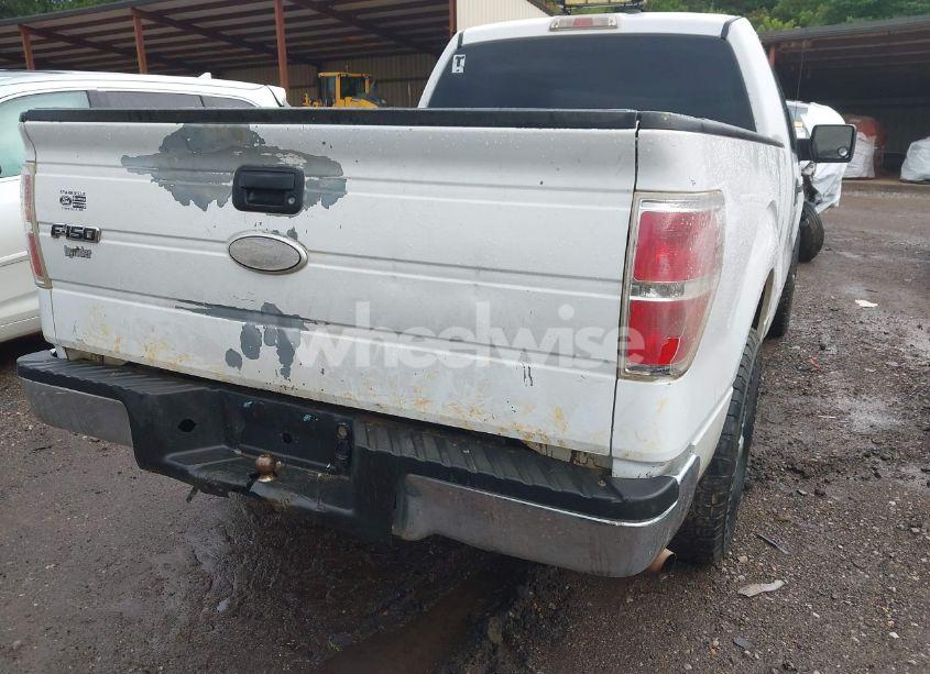 Photo 6 of 2010 Ford F-150 STX/XL/XLT (VIN 1FTMF1CW9AKB48143)