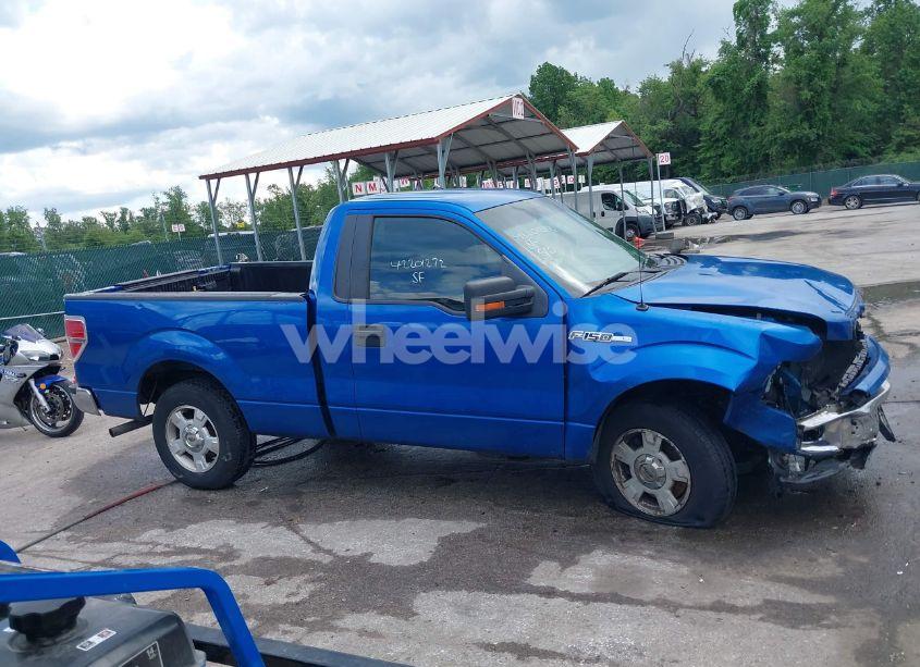 Photo 13 of 2010 Ford F-150 STX/XL/XLT (VIN 1FTMF1CWXAFD02223)