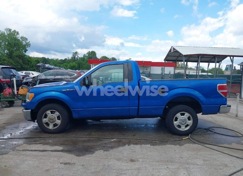 Photo 14 of 2010 Ford F-150 STX/XL/XLT (VIN 1FTMF1CWXAFD02223)