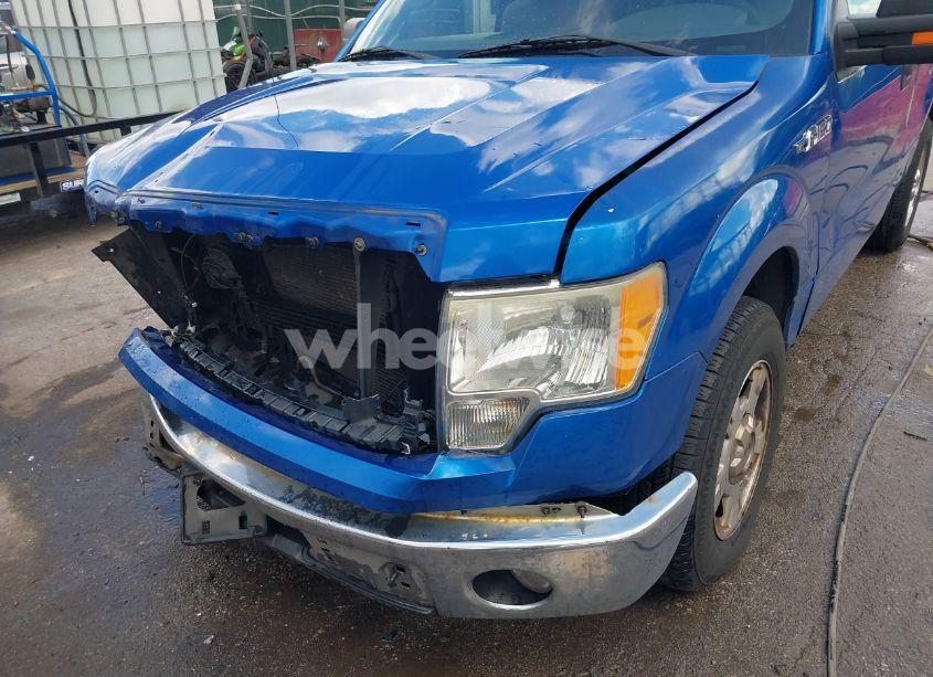 Photo 6 of 2010 Ford F-150 STX/XL/XLT (VIN 1FTMF1CWXAFD02223)