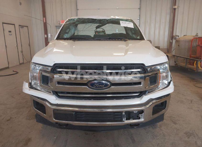 Photo 12 of 2019 Ford F-150 XL (VIN 1FTMF1E50KKC83484)
