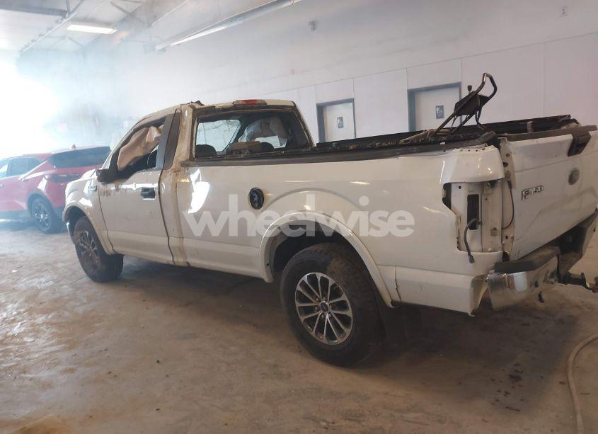 Photo 14 of 2019 Ford F-150 XL (VIN 1FTMF1E50KKC83484)