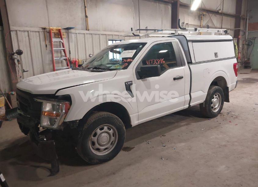 Photo 2 of 2021 Ford F-150 XL (VIN 1FTMF1EB1MKF01246)