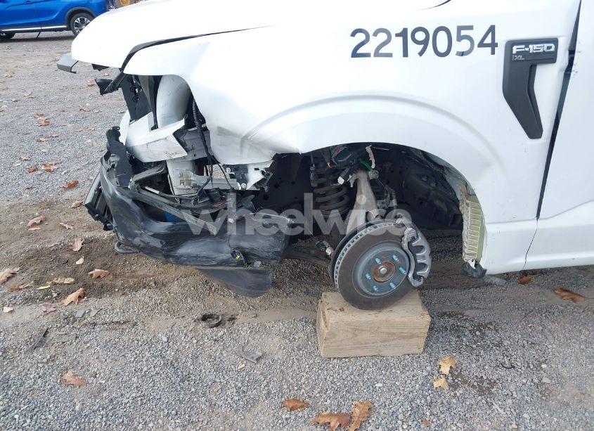 Photo 18 of 2023 Ford F-150 XL (VIN 1FTMF1EB8PKE09099)