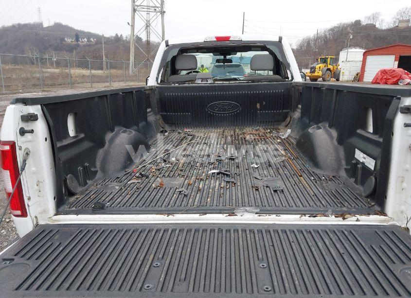 Photo 8 of 2019 Ford F-150 XL (VIN 1FTMF1EBXKKE23997)