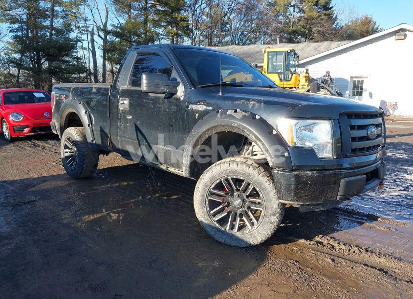 2011 Ford F-150 STX (VIN 1FTMF1EF1BFD24786) main photo