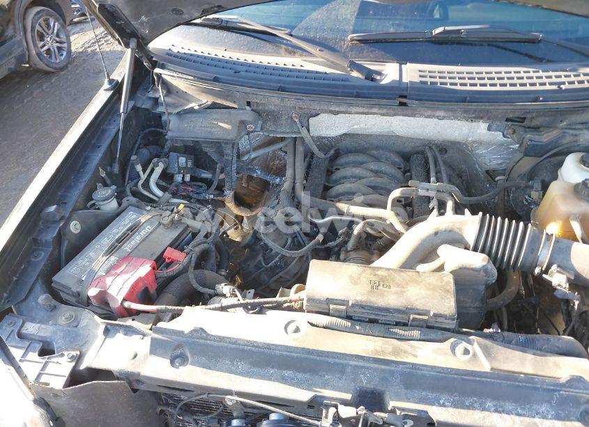 Photo 10 of 2011 Ford F-150 STX (VIN 1FTMF1EF1BFD24786)